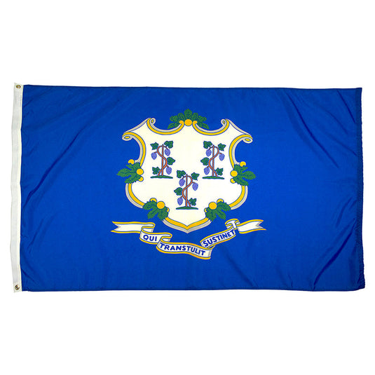 Connecticut State Flag - Nylon