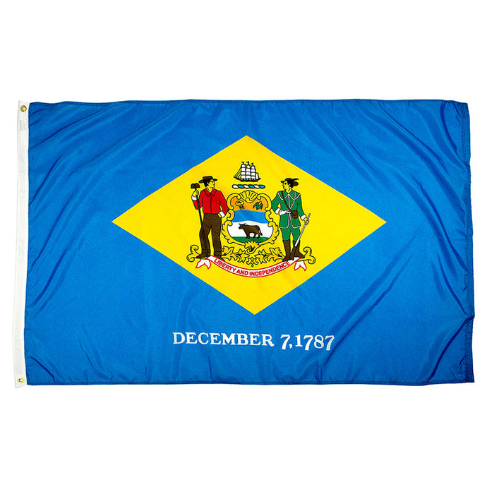 Delaware State Flag - Nylon