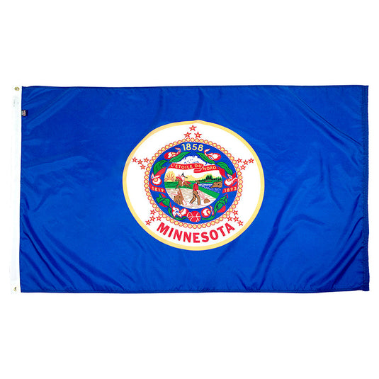 Minnesota State Flag - Nylon